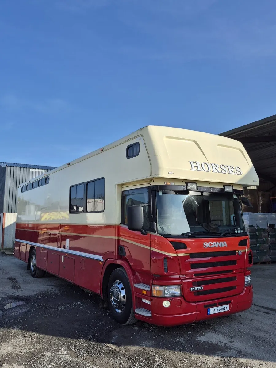 Scania horse truck - Image 2