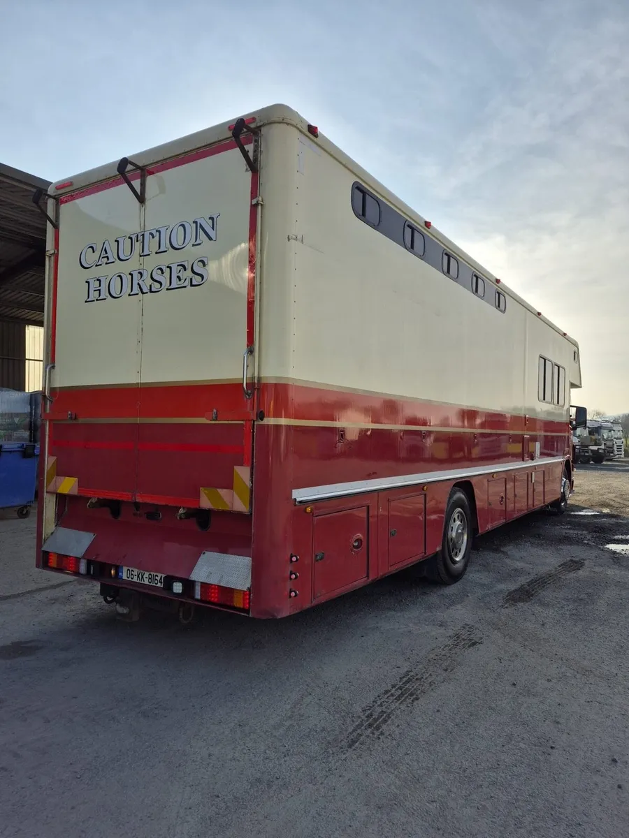 Scania horse truck - Image 4