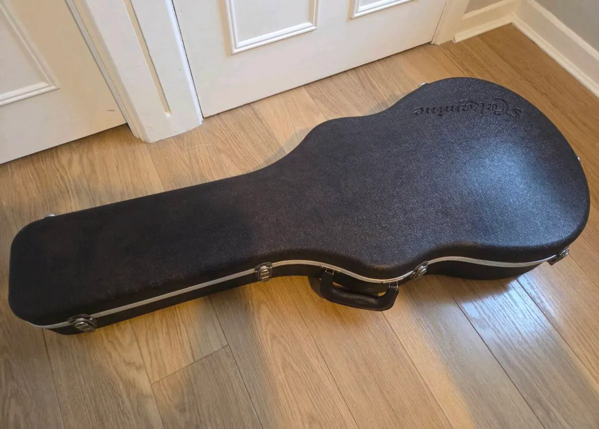 Takamine Hard Case - Image 1