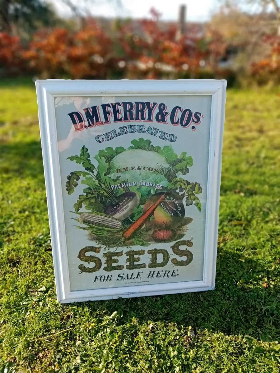 D.M Ferry & Co Vintage Sign - Image 1