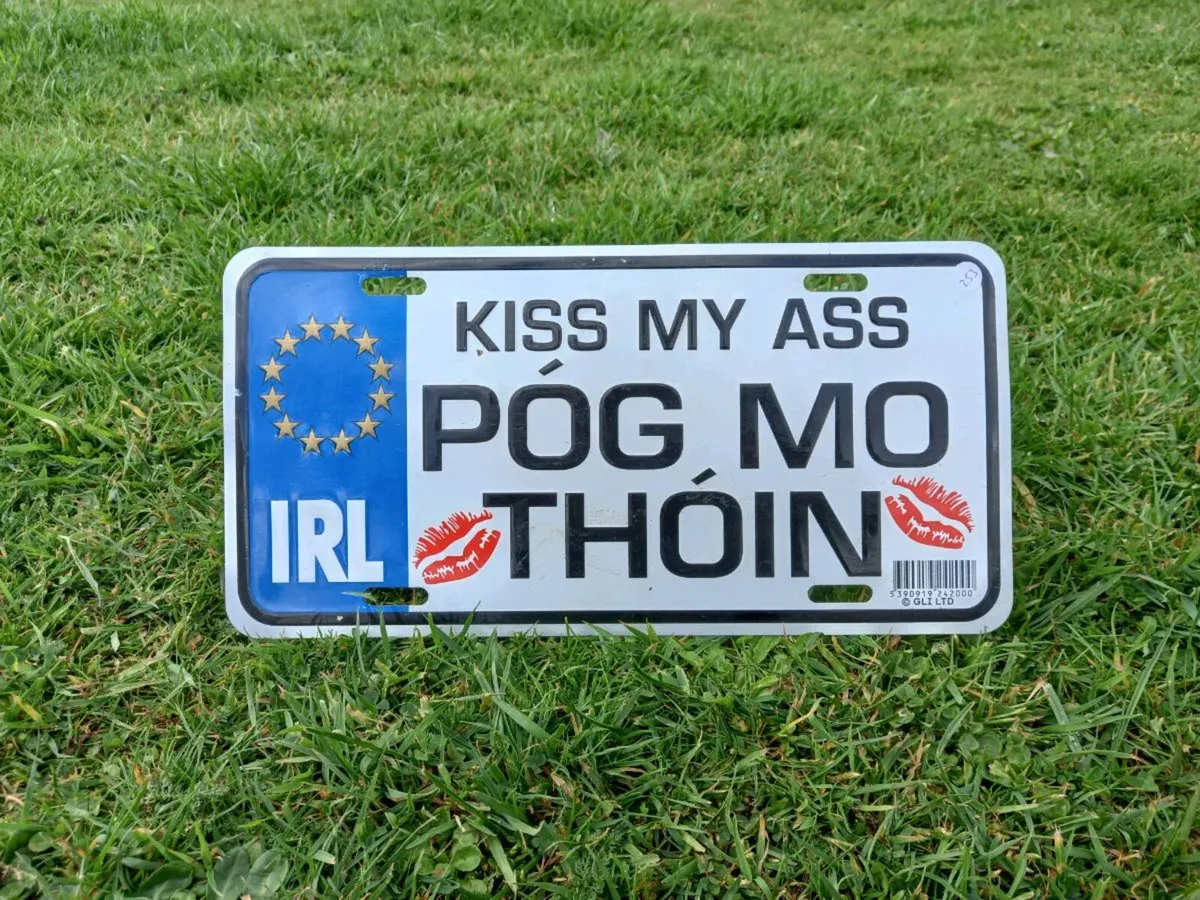Novelty Licence Plate - Image 1