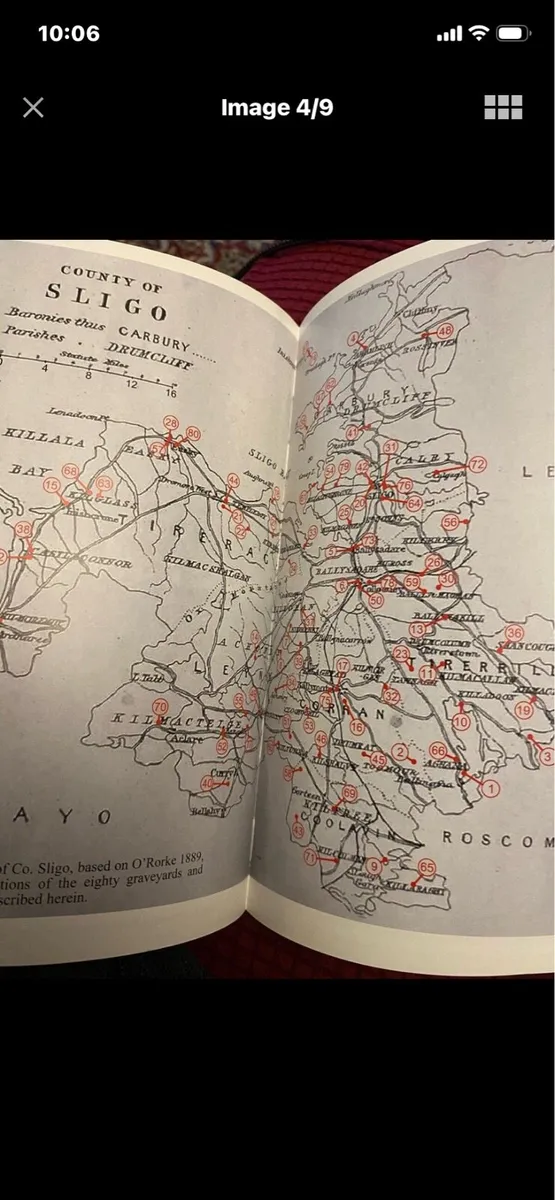 Had Me Made- Study of Sligo Grave Memorials - Image 4