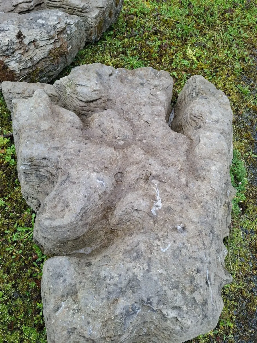 Limestone rocks - Image 3
