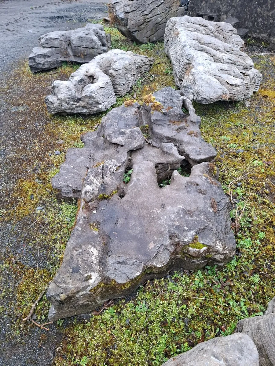Limestone rocks - Image 4
