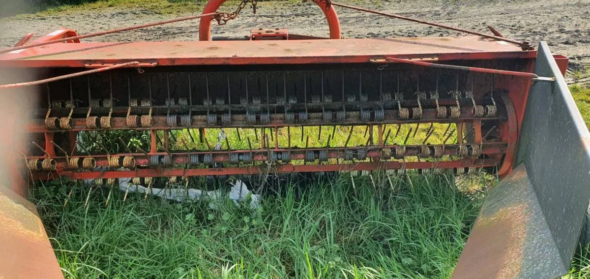 Fransgard turner - Image 2