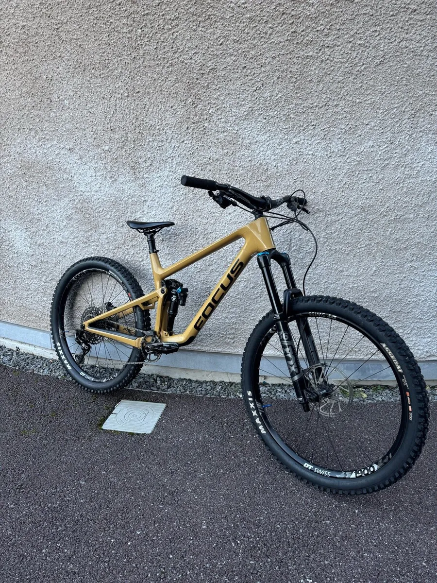 Focus Sam 9.9 2023 - Image 1