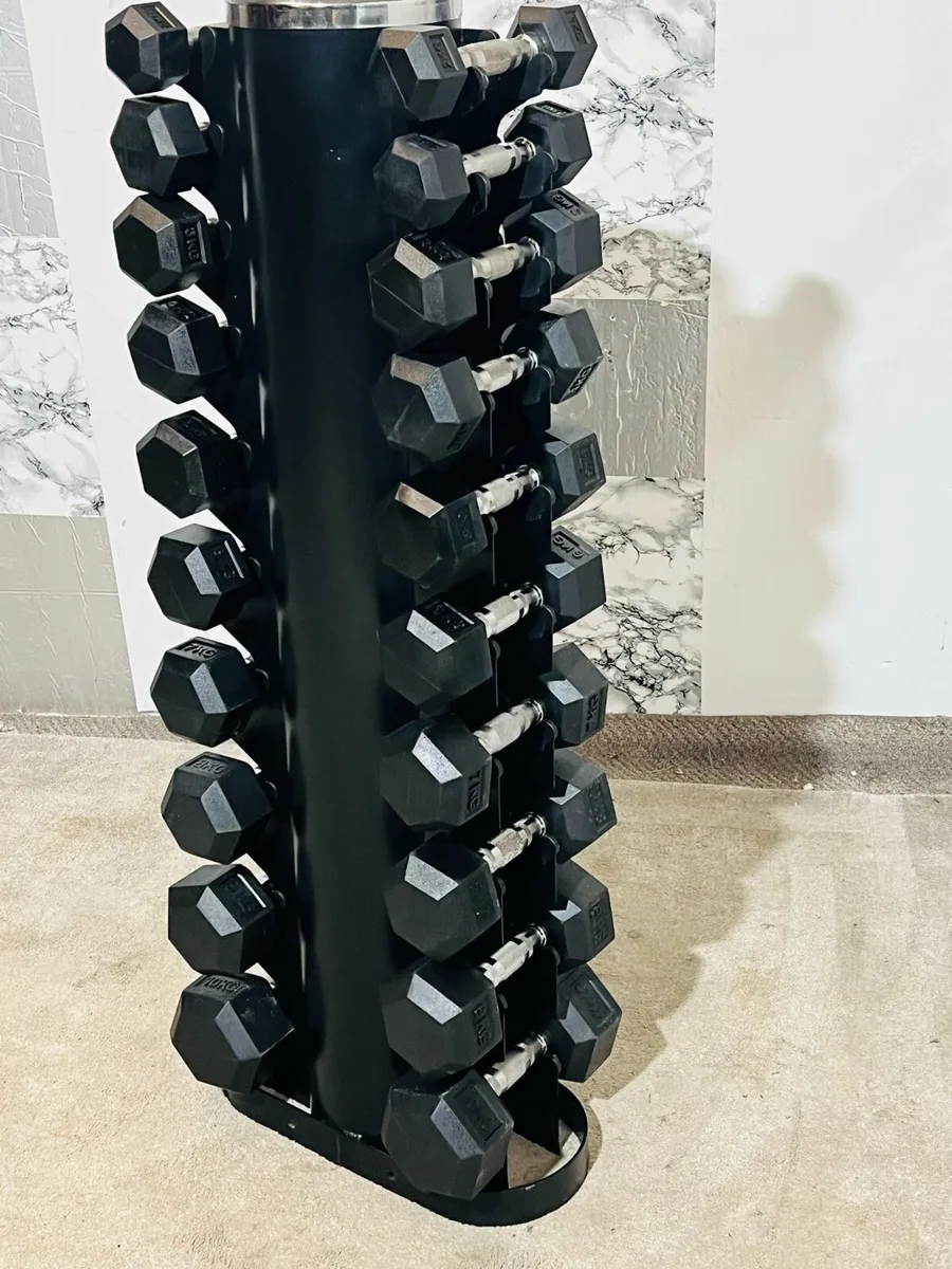 2-10KG HEX DUMBBELLS WITH STAND - Image 4