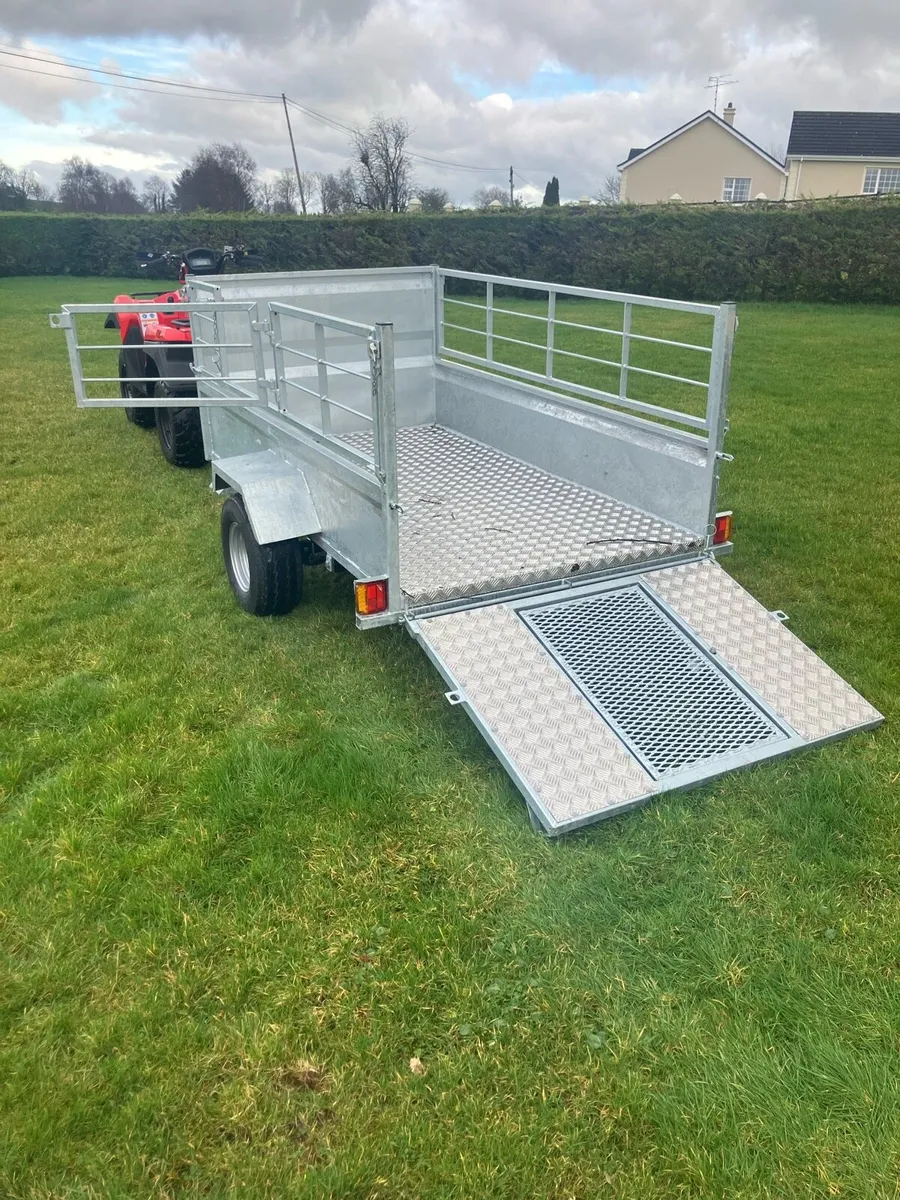 Suzuki Kingquads - Image 4