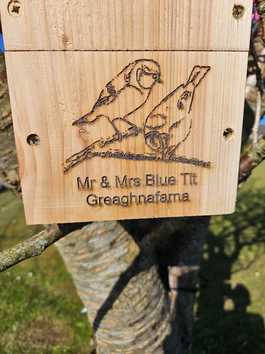 Personally Engraved Bird Boxes - Image 3