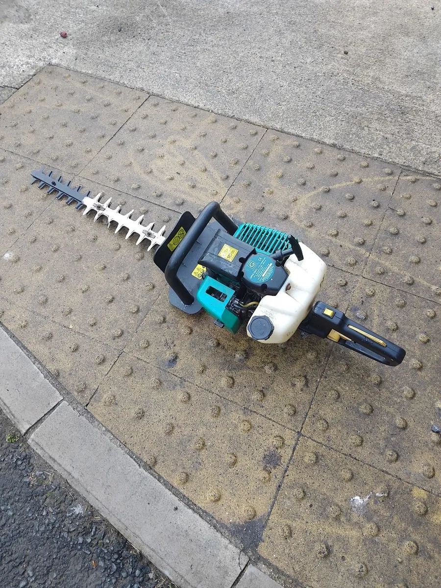 2 hedge strummers running very well priced - Image 1