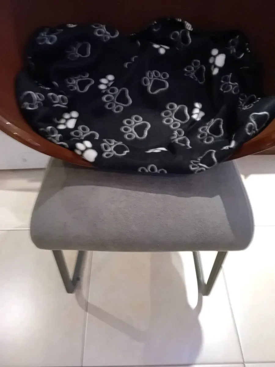 PET CARRIERS  ALL LIKE NEW - Image 2