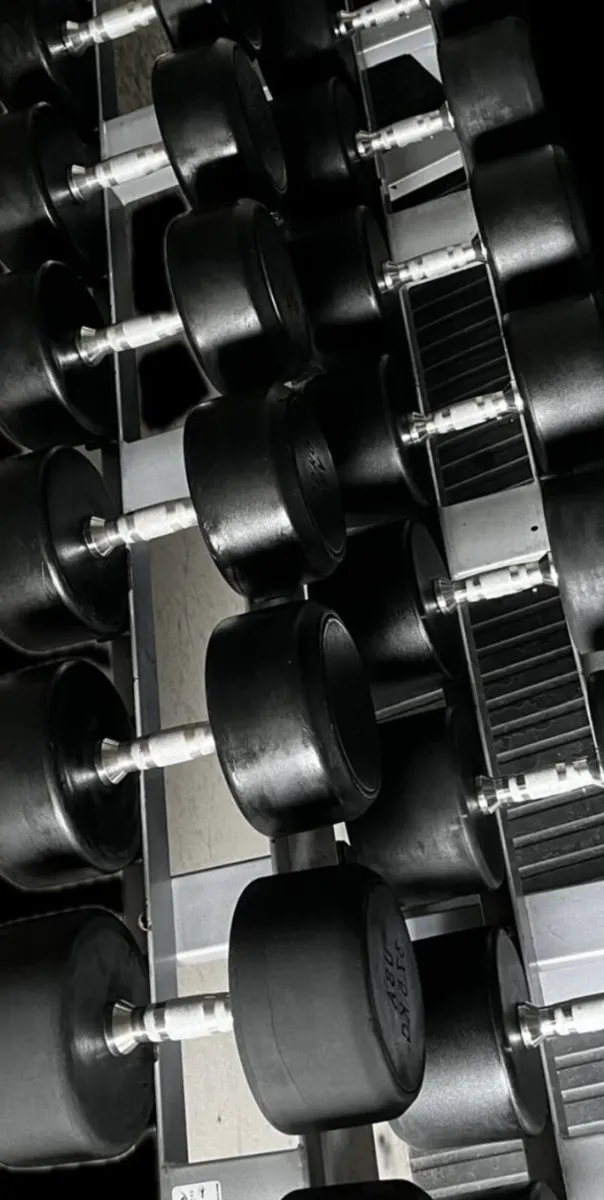 30kg-50kg rubber dumbbells sets 720kg - Image 3