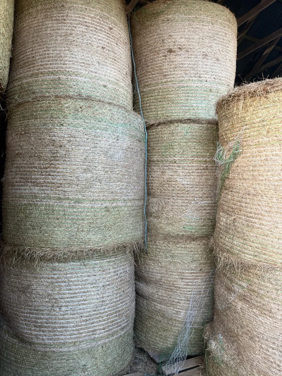 Bales of hay - Image 1