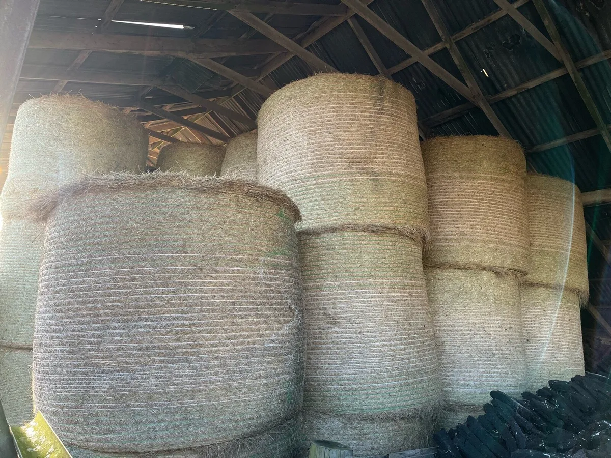 Bales of hay - Image 2
