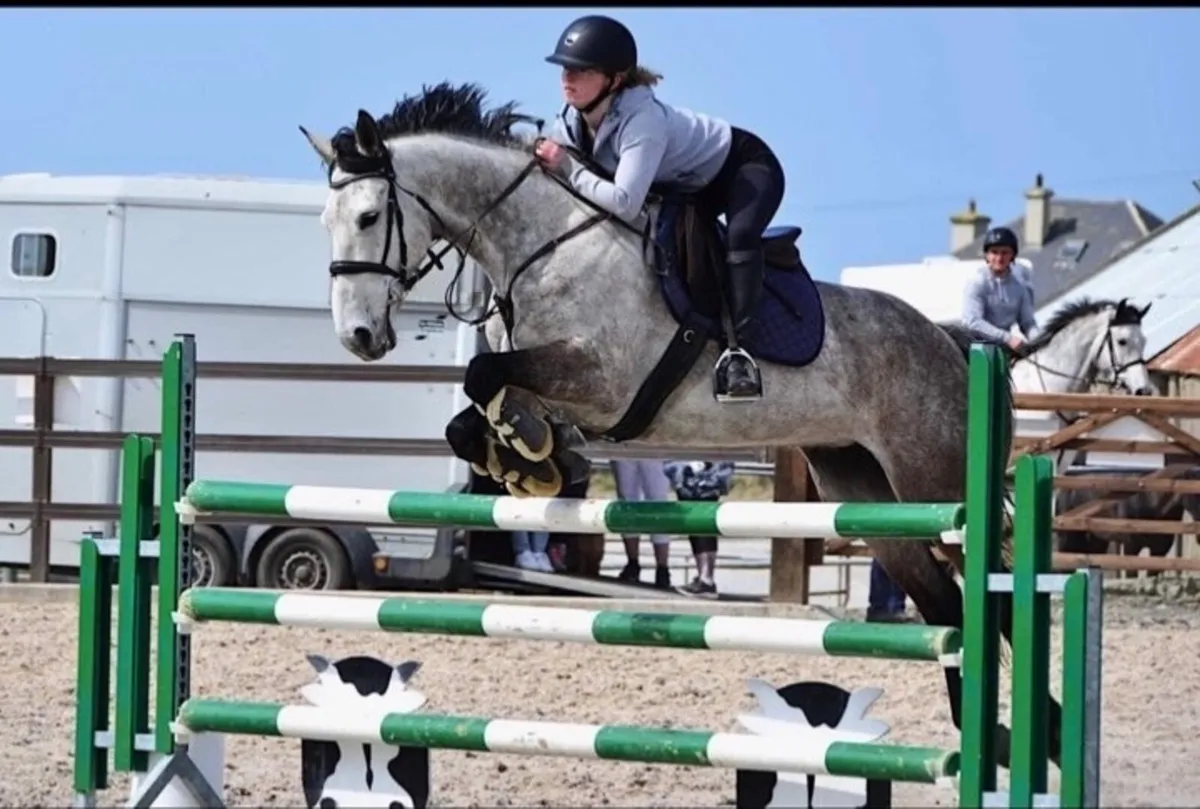 16.2 Horse - Image 1