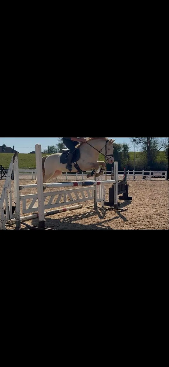 Avalon Outkast Class 1 Connemara - Image 3