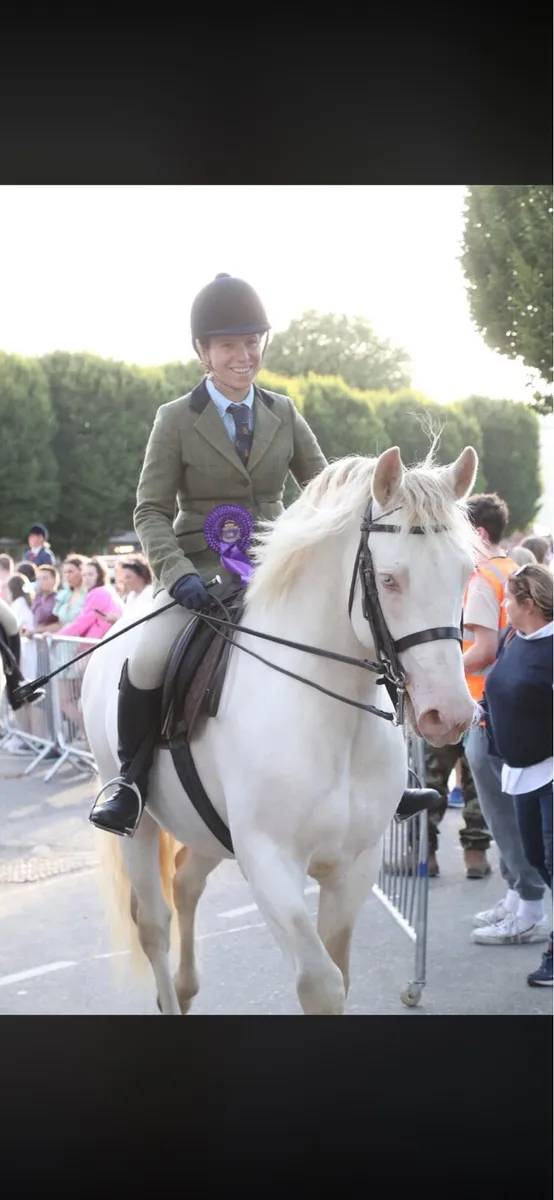 Avalon Outkast Class 1 Connemara - Image 1