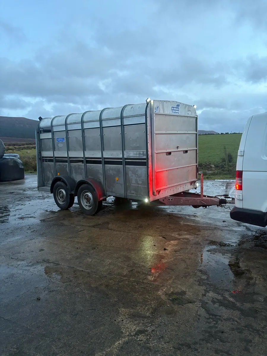 12ft Ifor Williams Cattle Trailer - Image 1