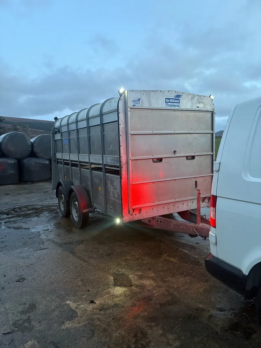 12ft Ifor Williams Cattle Trailer - Image 2