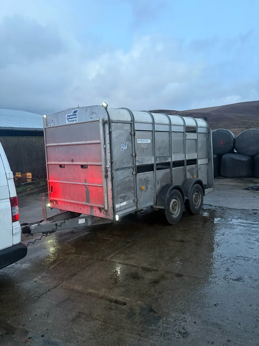 12ft Ifor Williams Cattle Trailer - Image 4