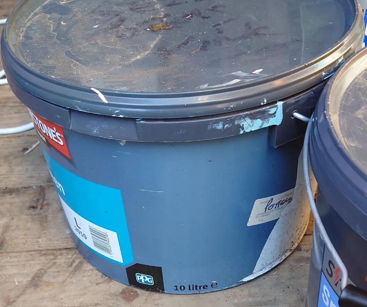 10L paint - Image 1