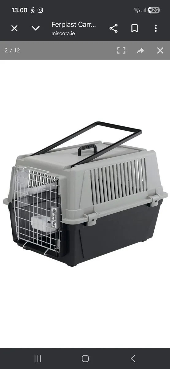Pet Carrier - Image 1