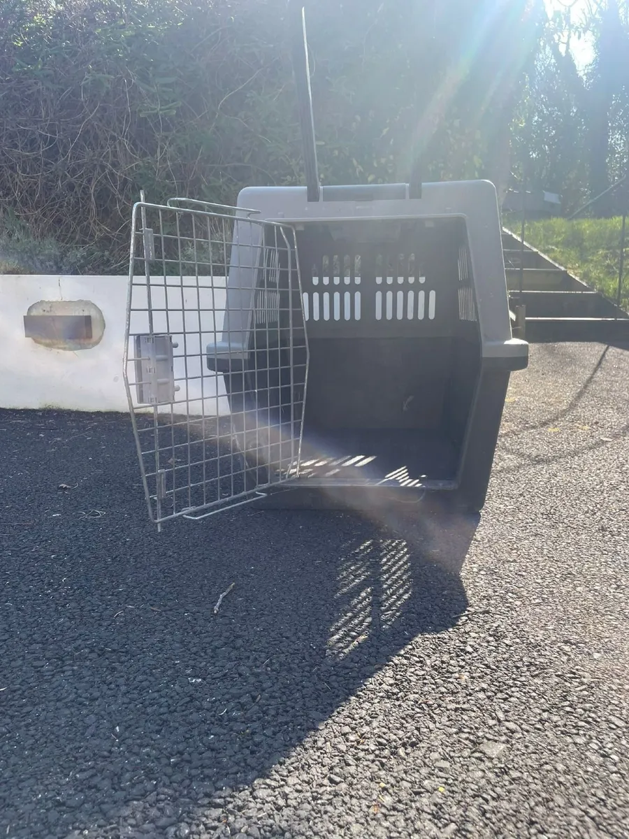 Pet Carrier - Image 2