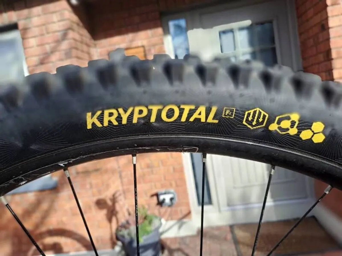 Devinci  Spartan gx 29 size large - Image 2