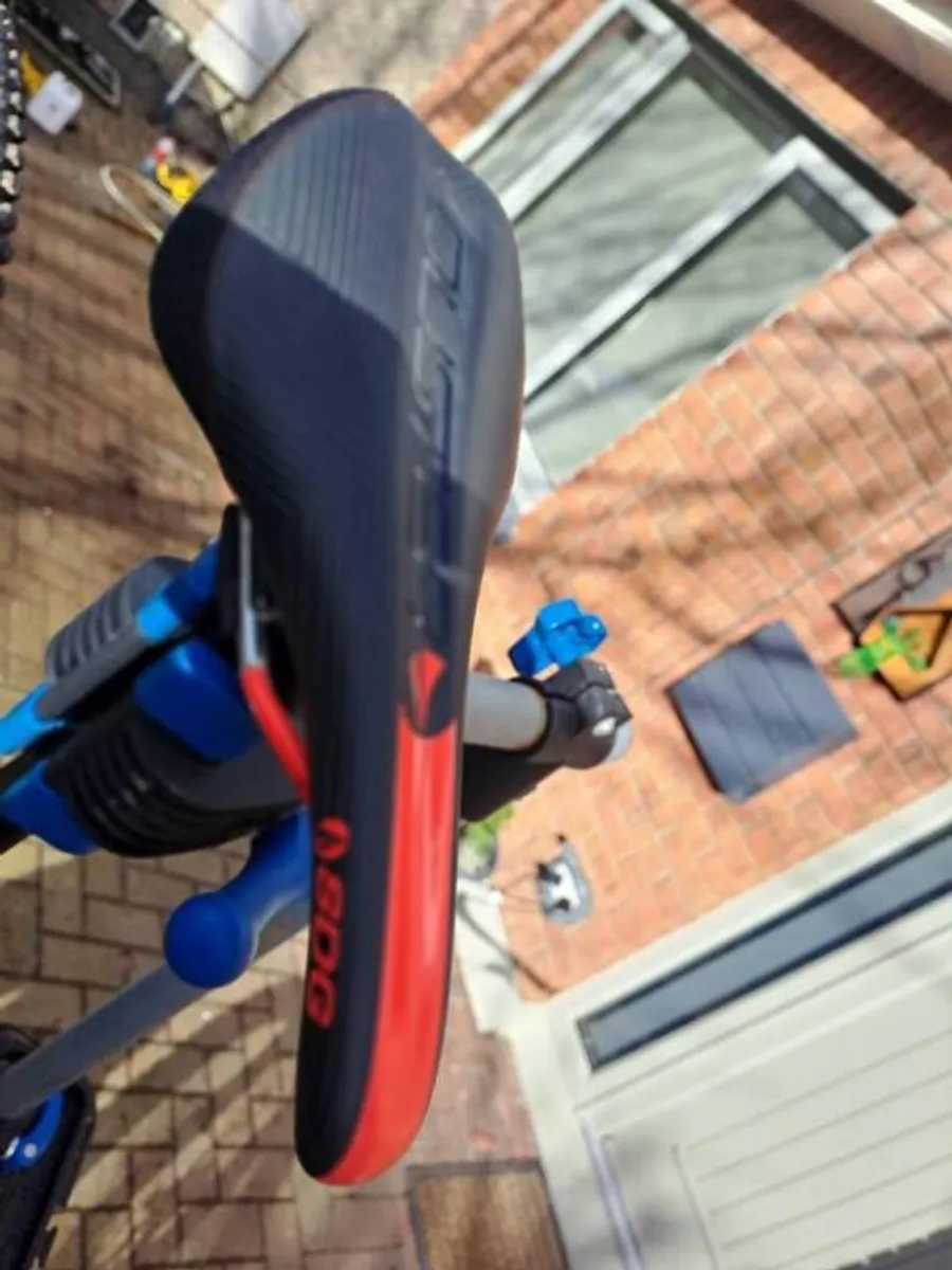 Devinci  Spartan gx 29 size large - Image 3