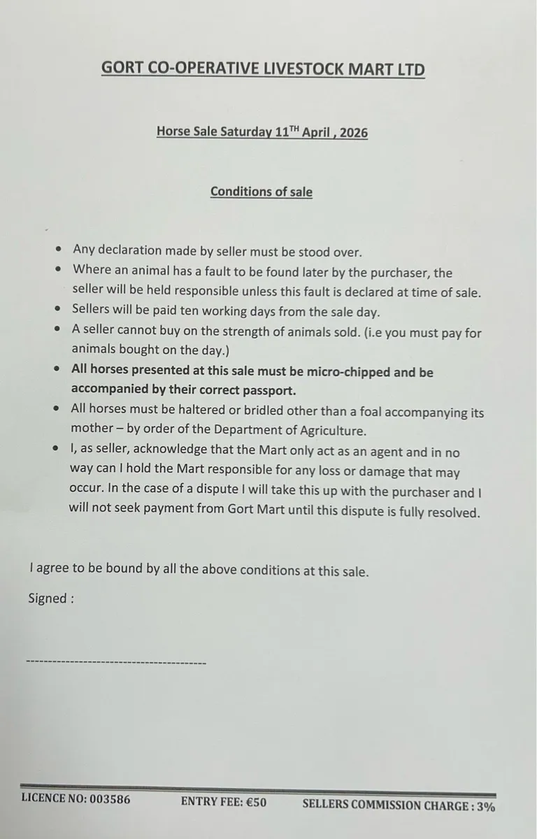 Gort Mart: Sat 11th April : Pre entry Horse sale - Image 2