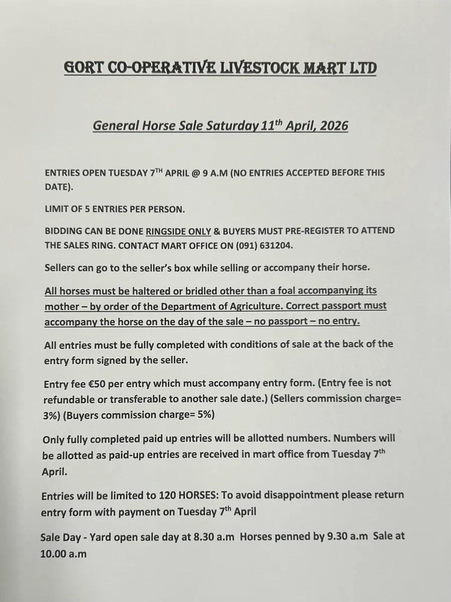 Gort Mart: Sat 11th April : Pre entry Horse sale - Image 3