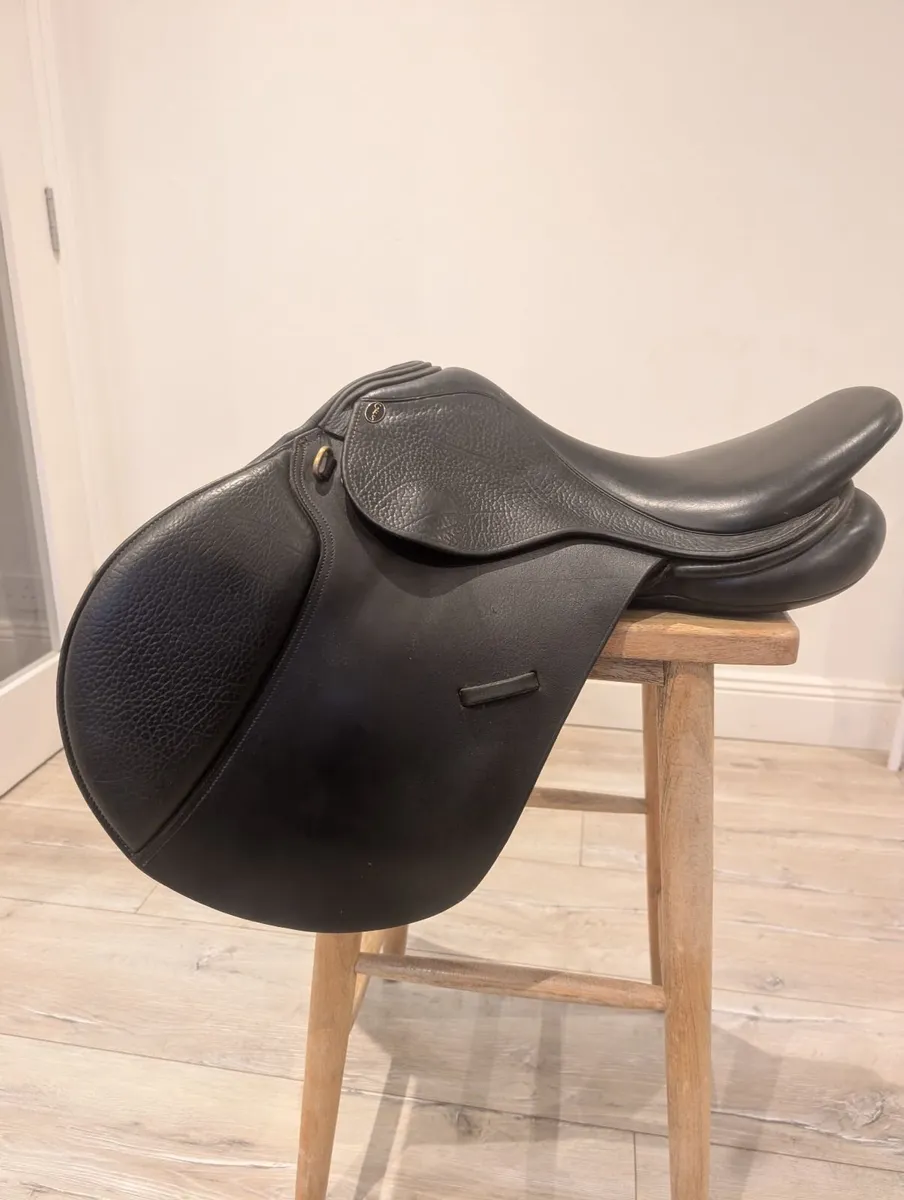 Saddle - Image 2