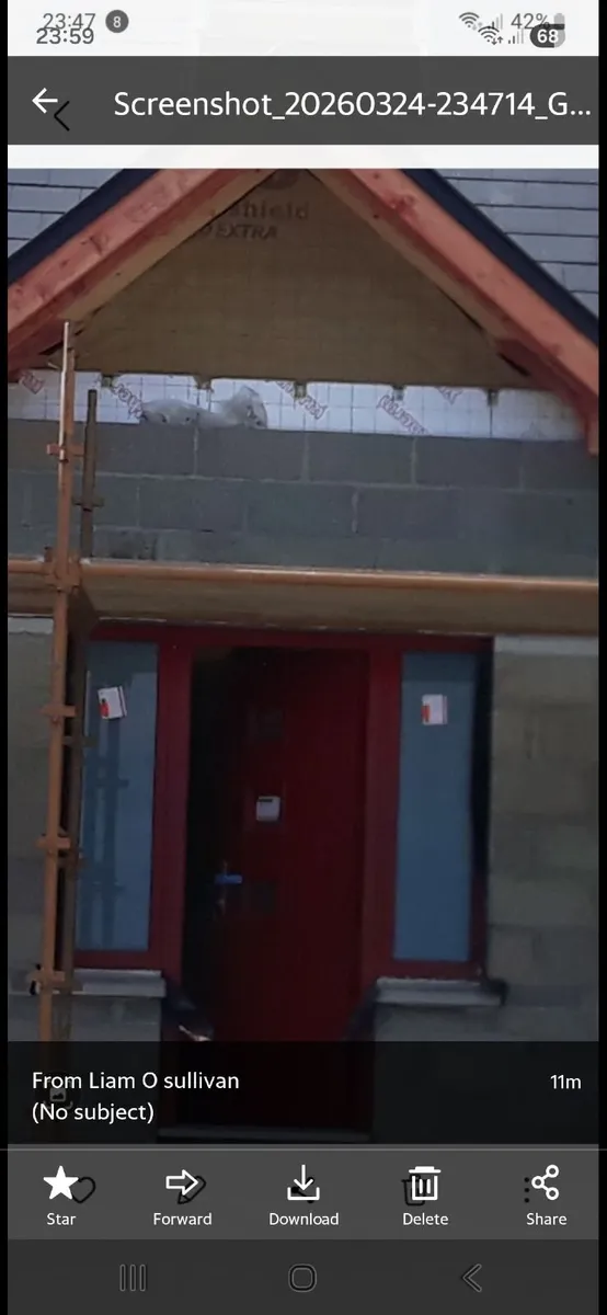 Side Windows front door - Image 3