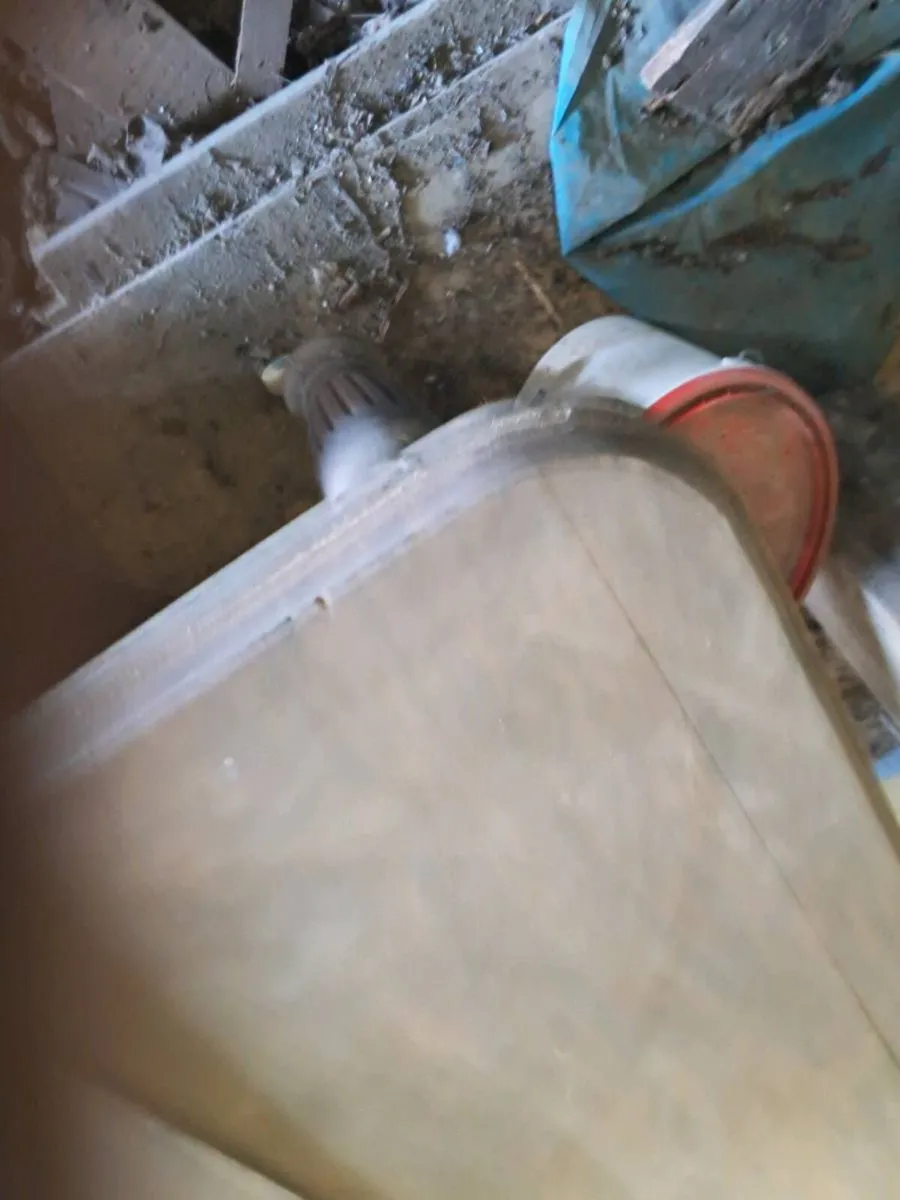 Mahogany table 8 foot by 4 - Image 2