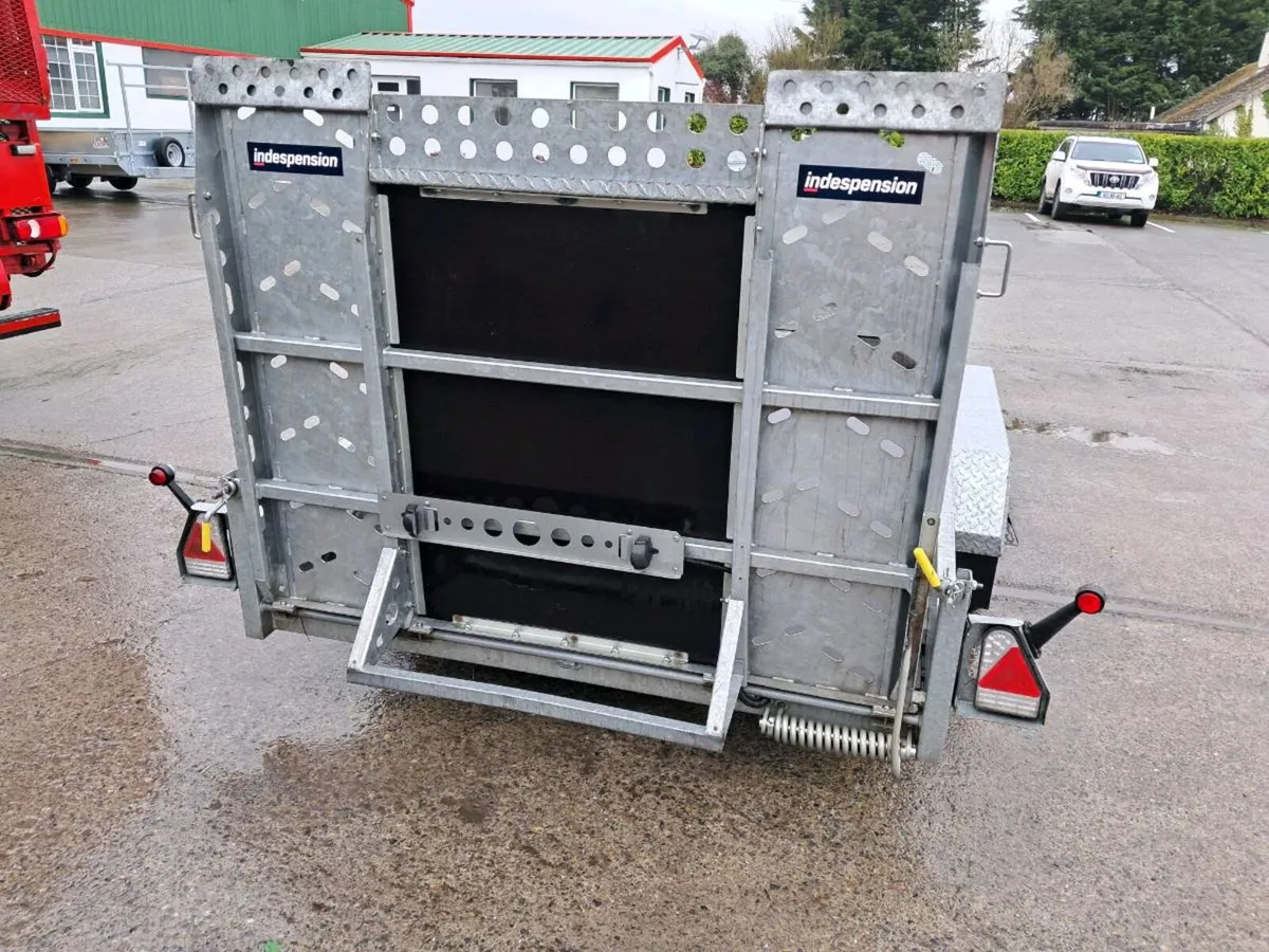 2025 Indespenion plant trailer - Image 4