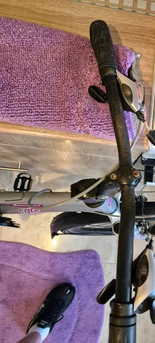 ADULTS LADIES RALEIGH BIKE 18-IN FRAME SIZE/ ALLOY - Image 3