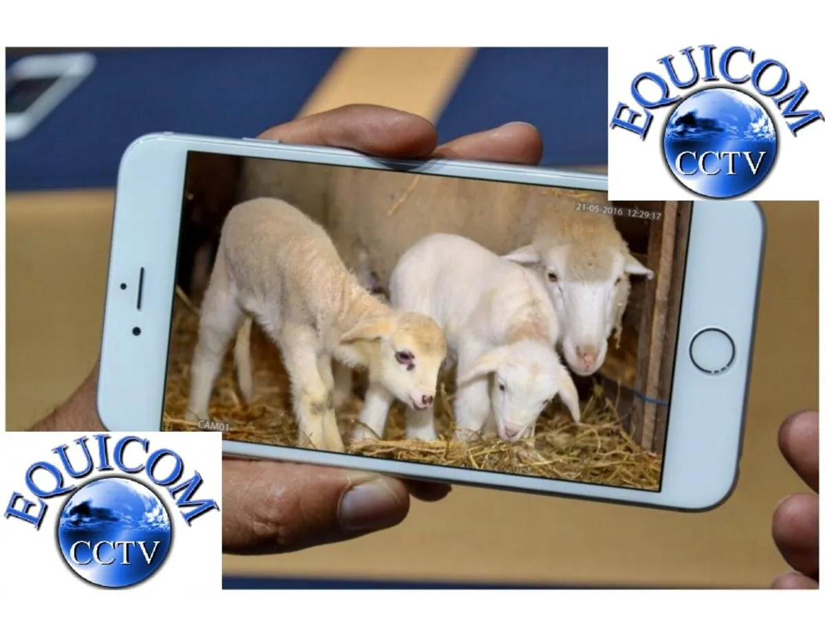 Lambing Camera - Image 1