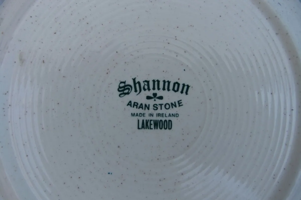 Shannon Iron Stone Lakewood Plates x 5 - Image 2