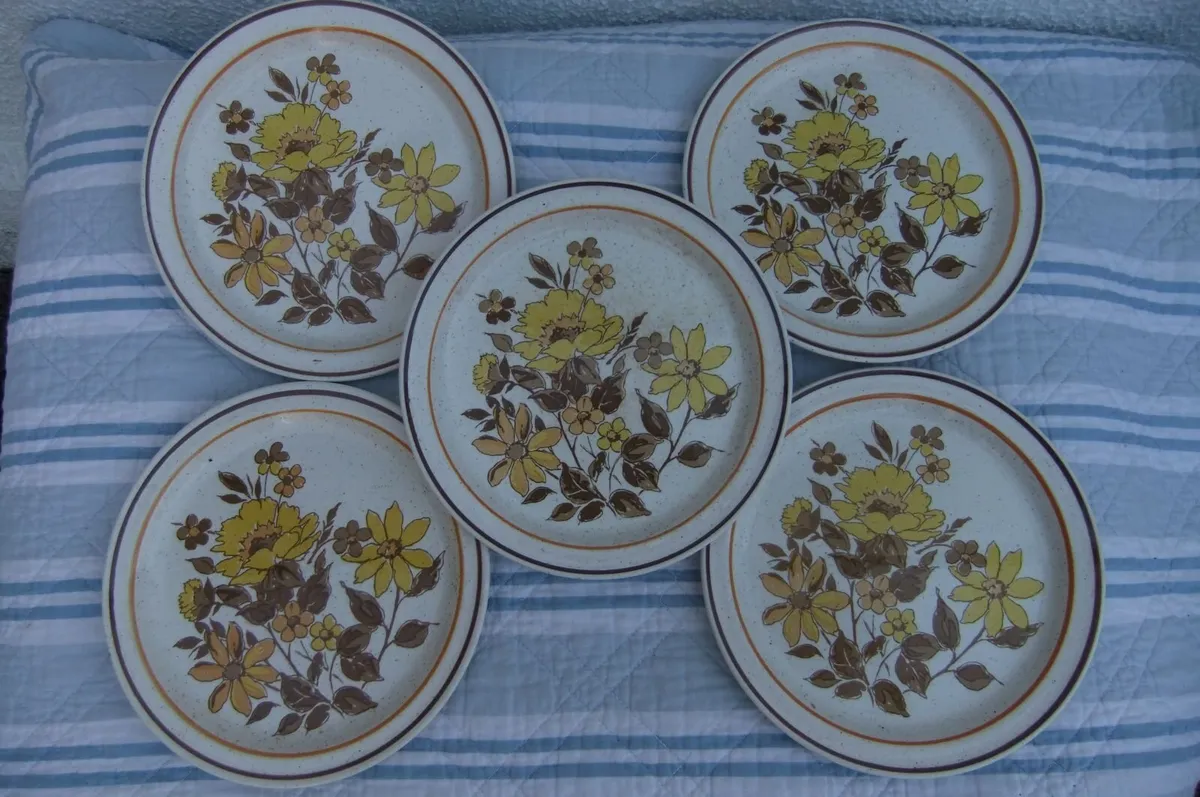 Shannon Iron Stone Lakewood Plates x 5 - Image 1