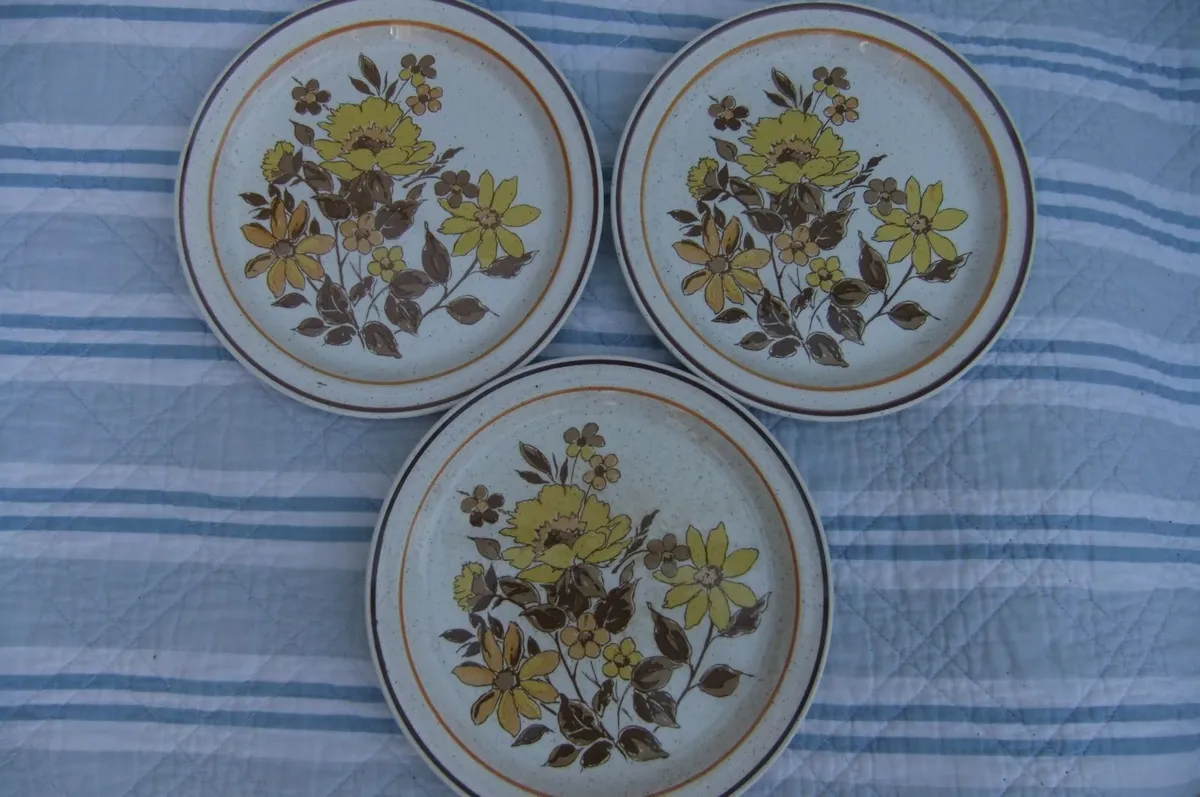 Shannon Iron Stone Lakewood Plates x 5 - Image 3