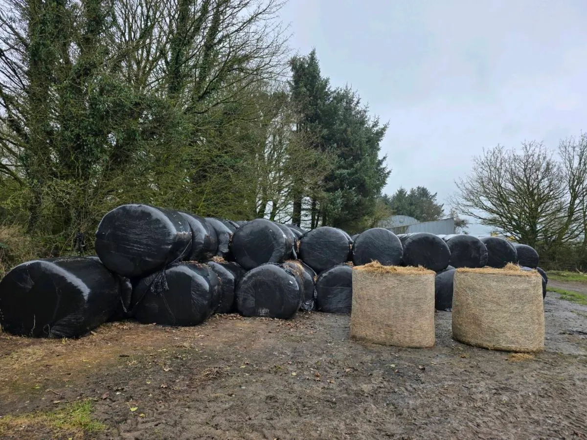 For sale silage bales - Image 1