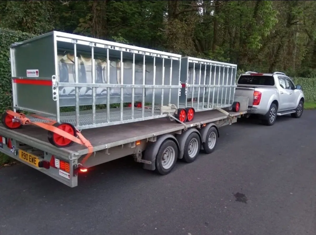 Adjustable length feeding barriers - SMA Stockyard - Image 2