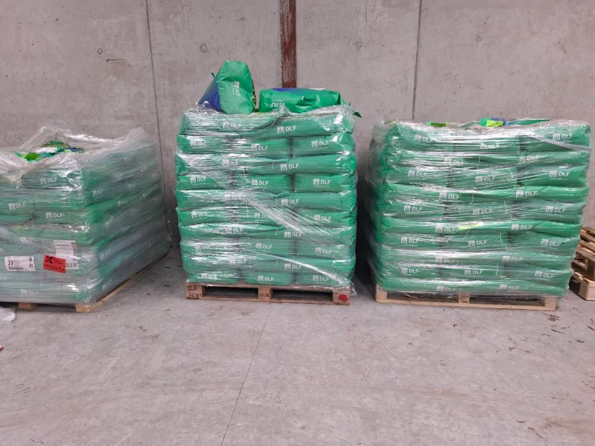 SEED+LIME SUPPLIES. - Image 1