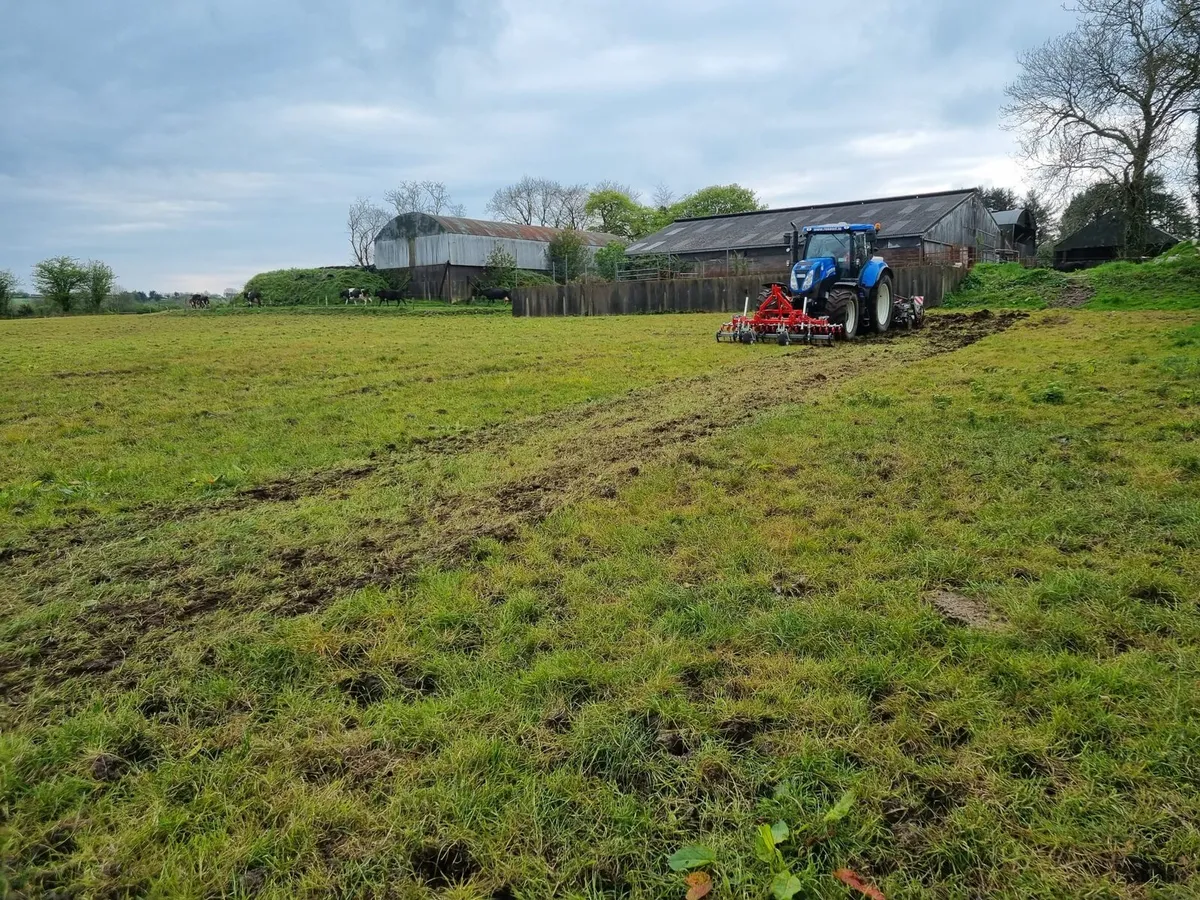 SEED+LIME SUPPLIES. - Image 2