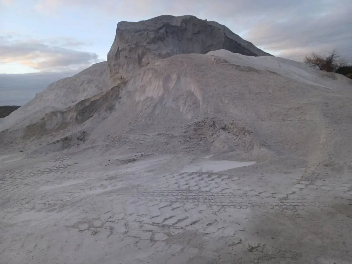 SEED+LIME SUPPLIES. - Image 4