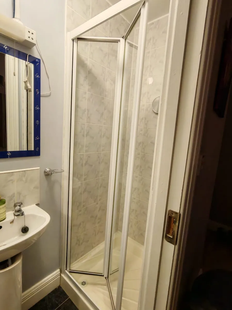 Shower door - Image 2