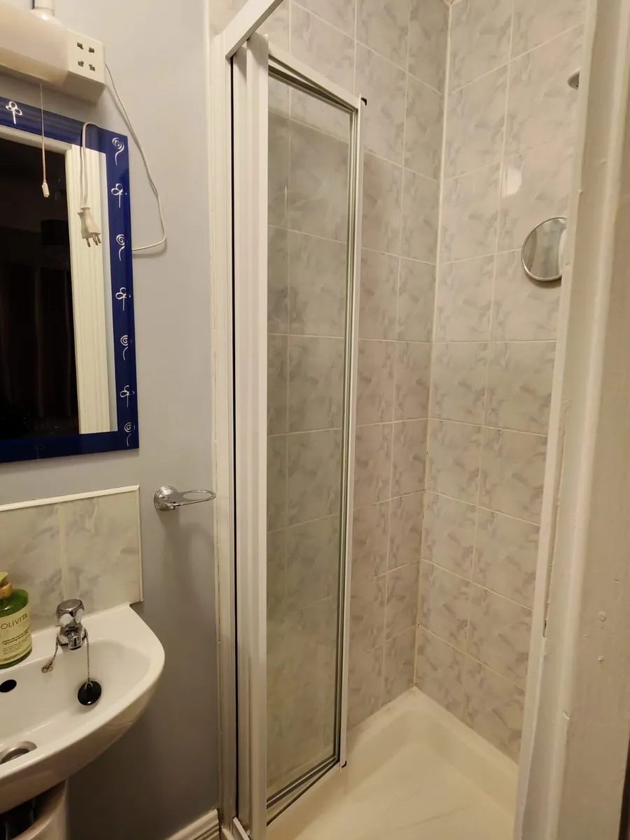 Shower door - Image 3