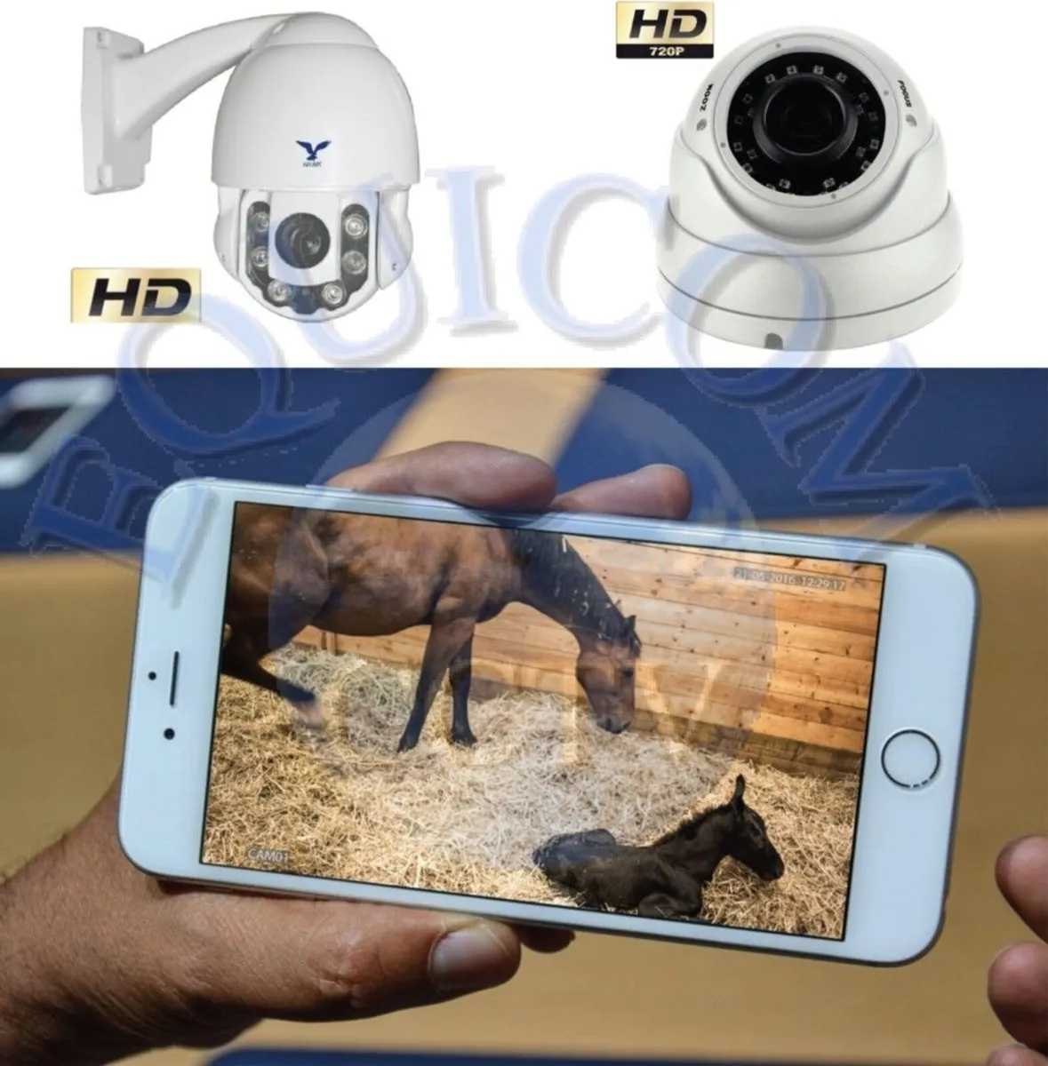 Foaling Camera