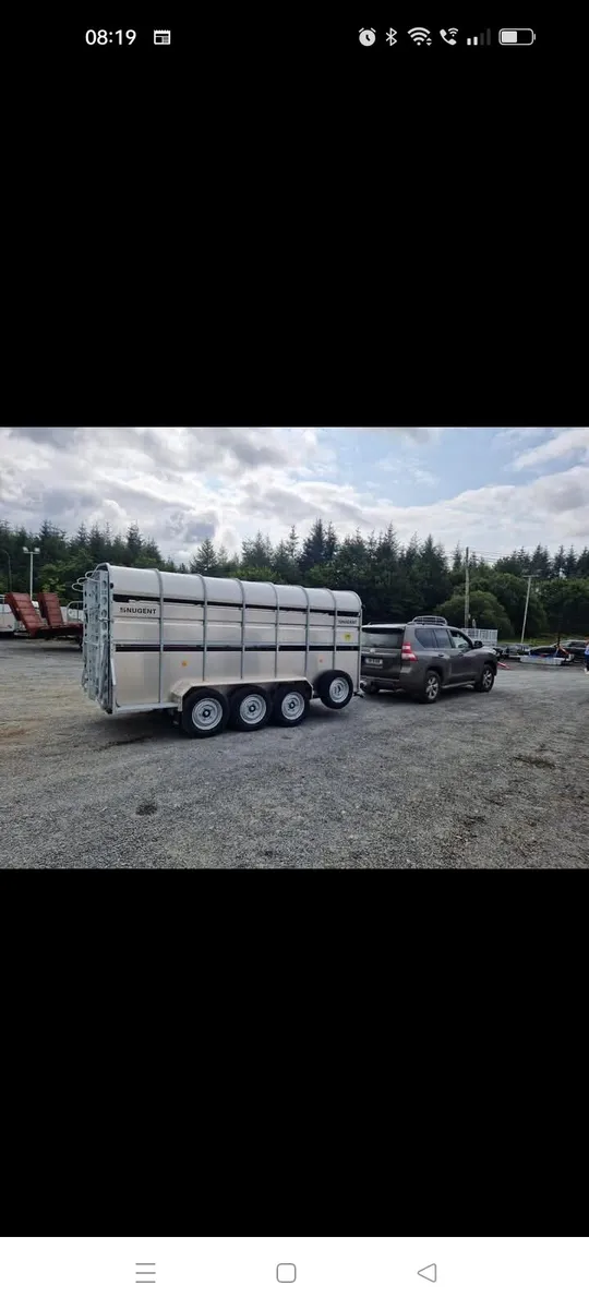 Sheep + cattle haulage