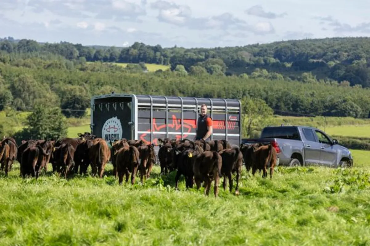 Dairy Farmers for 2026 Breeding Season - Image 1